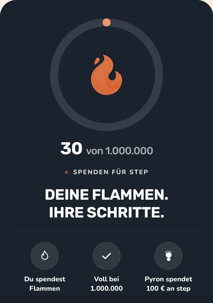 Spenden: 30 von 1.000.000 Flammen im Topf